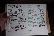 Enlarge photo 10