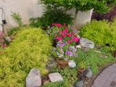 Enlarge photo 71