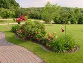 Enlarge photo 72