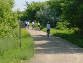 Enlarge photo 74