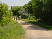 Enlarge photo 117