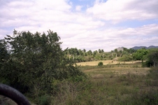 Enlarge photo 193
