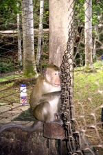 Enlarge photo 120