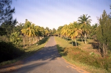 Enlarge photo 213