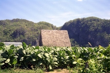 Enlarge photo 238