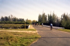 Enlarge photo 215