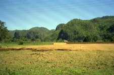 Enlarge photo 240