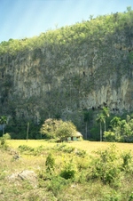 Enlarge photo 242