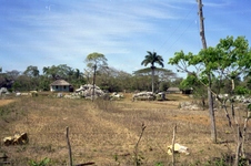 Enlarge photo 241