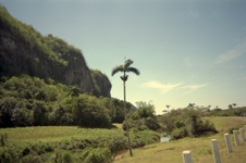 Enlarge photo 344
