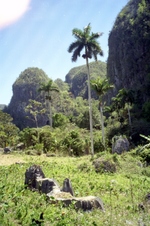 Enlarge photo 243