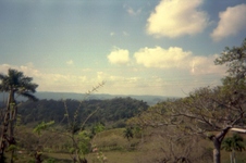 Enlarge photo 371