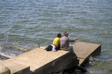 Enlarge photo 197