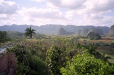 Enlarge photo 147