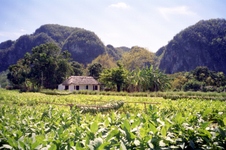 Enlarge photo 245
