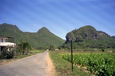 Enlarge photo 244