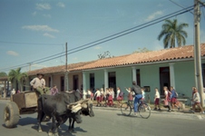 Enlarge photo 348