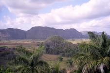 Enlarge photo 149