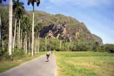 Enlarge photo 247
