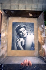 Enlarge photo 313