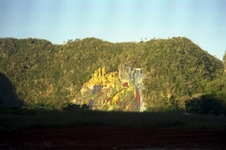 Enlarge photo 288