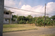 Enlarge photo 304