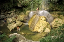 Enlarge photo 77