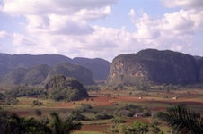 Enlarge photo 152