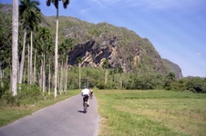 Enlarge photo 246