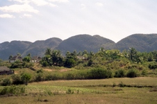 Enlarge photo 223