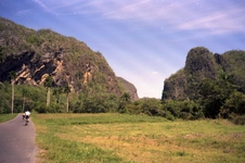 Enlarge photo 248