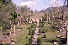 Enlarge photo 104