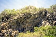 Enlarge photo 249