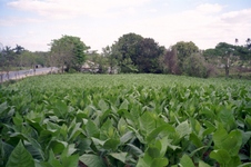Enlarge photo 178