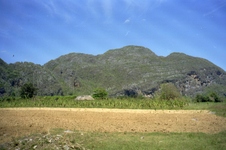 Enlarge photo 250