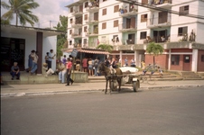 Enlarge photo 81