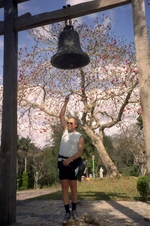 Enlarge photo 131