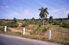 Enlarge photo 225