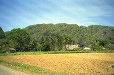 Enlarge photo 251