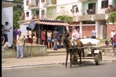 Enlarge photo 82