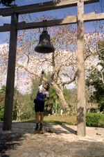 Enlarge photo 133