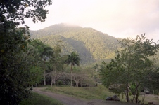 Enlarge photo 58