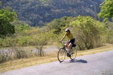Enlarge photo 228