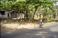 Enlarge photo 84