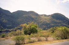 Enlarge photo 229