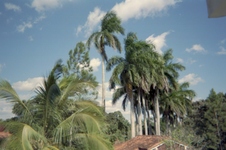 Enlarge photo 356