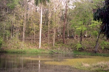 Enlarge photo 110