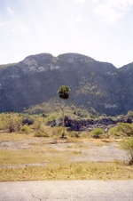 Enlarge photo 230