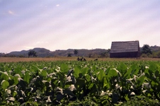 Enlarge photo 231