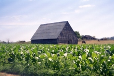 Enlarge photo 233